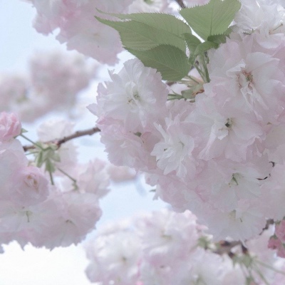 保靖FurryQQ群介绍